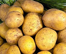 Картофель желтый